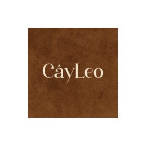 Review company Công ty cổ phần Thời Trang Cayleo (Vietnam)