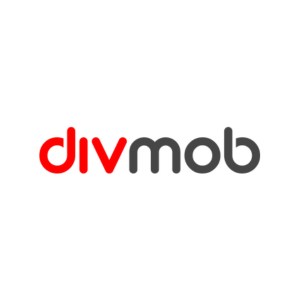 Review company DIVMOB (Vietnam)