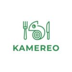 Review company Kamereo (Vietnam)
