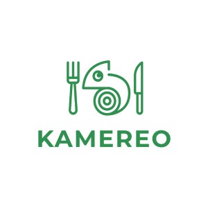 Review company Kamereo (Vietnam)