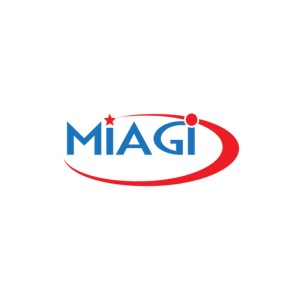 Review company Miagi Solution (Vietnam)