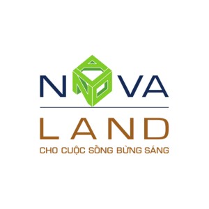 Review company Novaland (Vietnam)