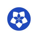 Review company Officience (Vietnam)