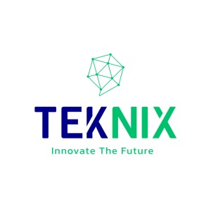 Review company TekNix Corporation (Vietnam)