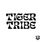 Review company Tiger Tribe Vietnam