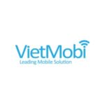 Review company Vietmobi (Vietnam)