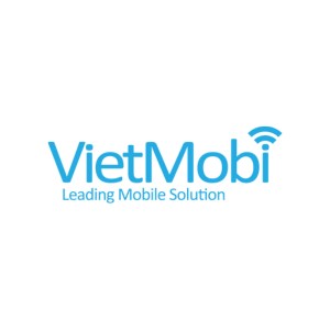 Review company Vietmobi (Vietnam)