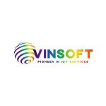 Review company Vinsoft (Vietnam)