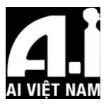 ai viet nam