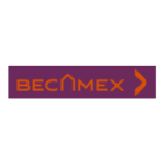becamex idc