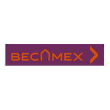 becamex idc