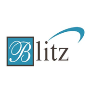 blitz it consultants