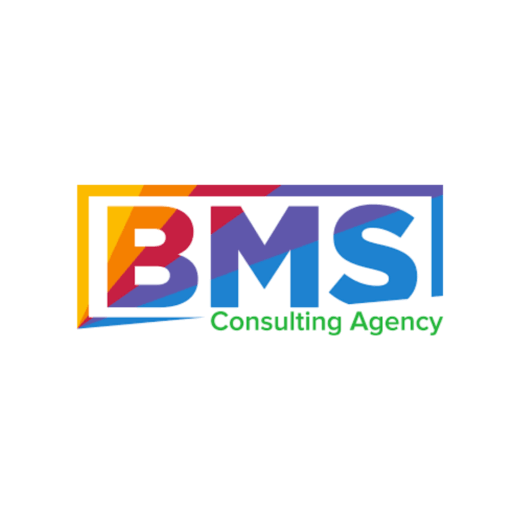 bms consulting agency 989