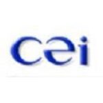 cei international investment