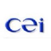 cei international investment