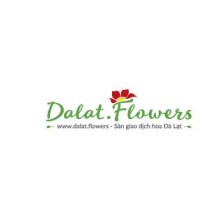 color life dalat flowers