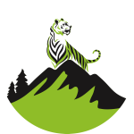 cong nghe thien thai