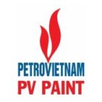 cong ty co phan son dau khi viet nam