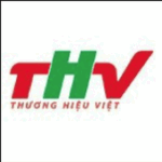 cong ty tnhh giai phap thuong hieu viet