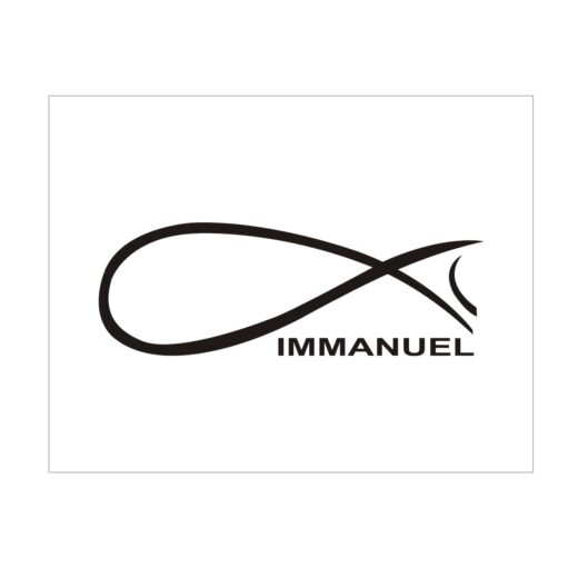 cong ty tnhh kiem toan immanuel