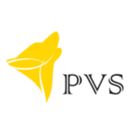 cong ty tnhh vien thong pvs cong ty tnhh phan mem pvs viet tat pvs