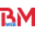 cong ty tnhh bm web