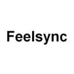 feelsync system