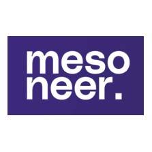 mesoneer