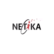 netika software development vn