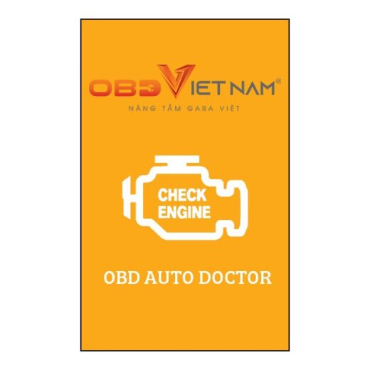 obd viet nam