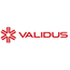 validus investment holdings