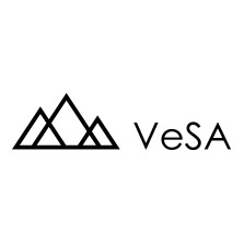 vesa vietnam ecommerce start up accelerator