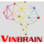 vinbrain