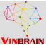 vinbrain