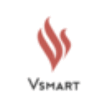 vinsmart