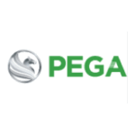 xe dien toan cau pega