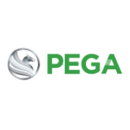 xe dien toan cau pega