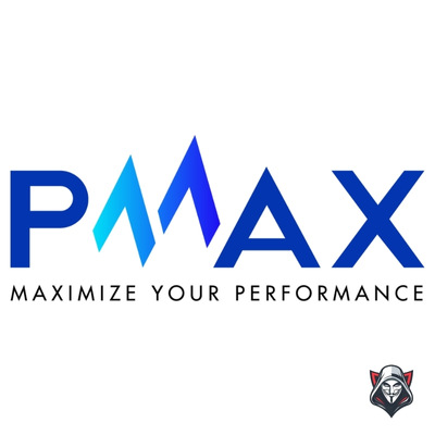 Review Company Pmax Performance Marketing Agency Vietnam