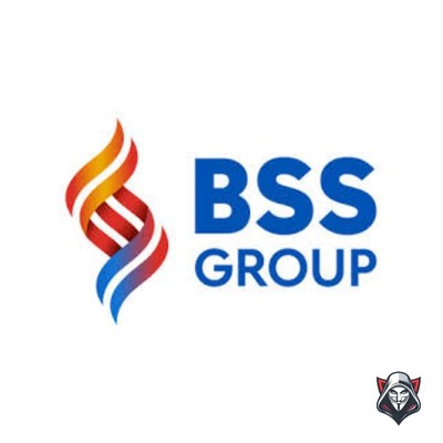 Review company BSS Group Vietnam