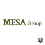 Review company Mesa Group Vietnam